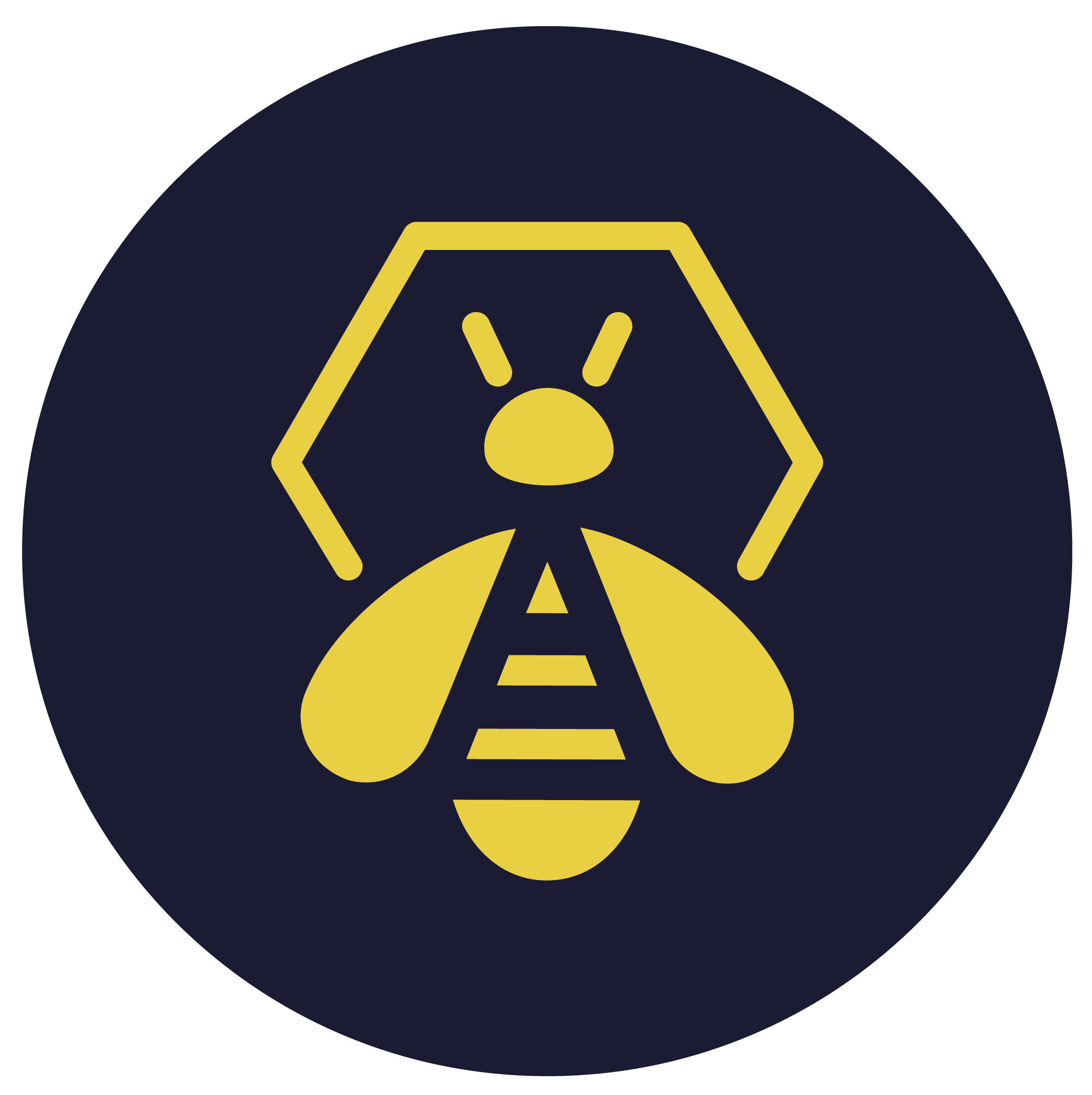 hive